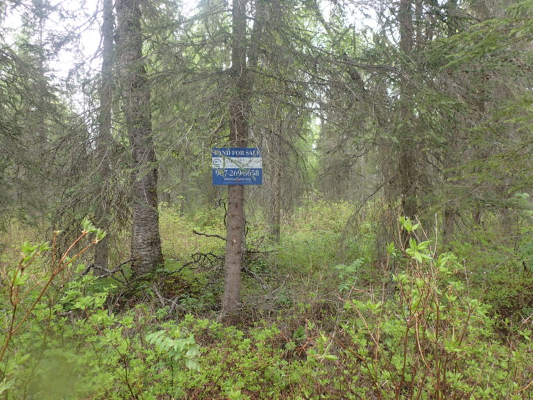 
								MHT 9200831_5								