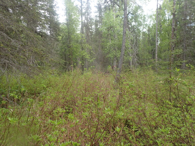 
								MHT 9200832_11								