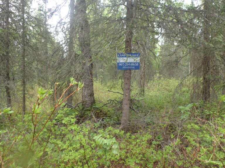 
								MHT 9200832_5								