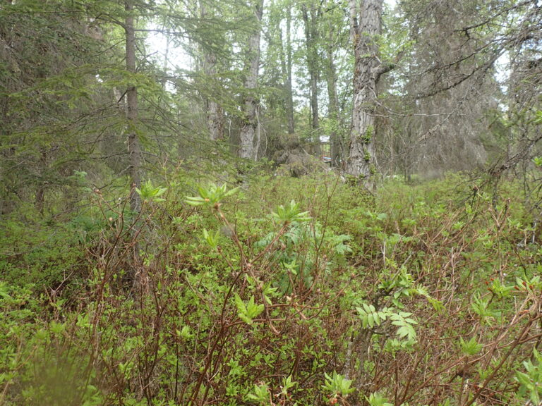 
								MHT 9200832_9								
