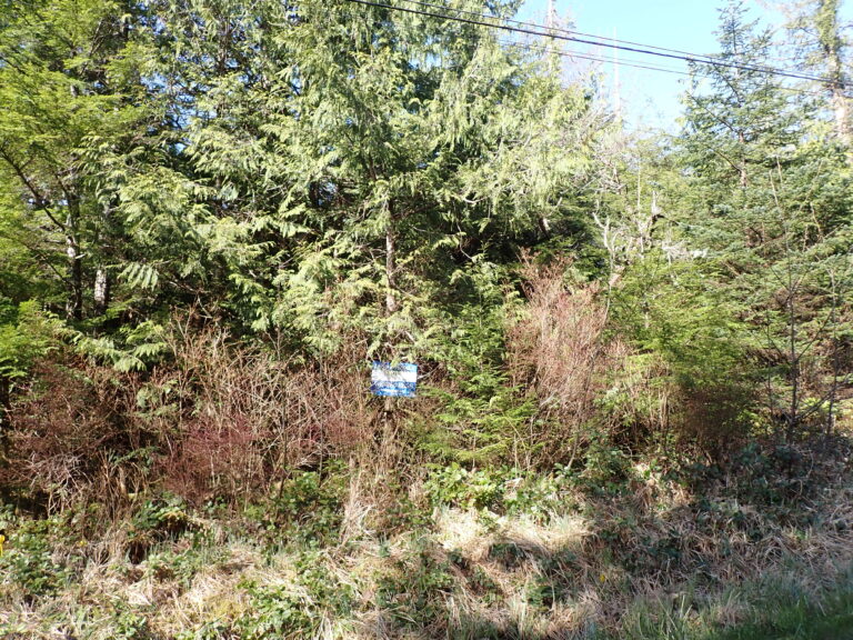 
								9101246 - L9B2 (2)								