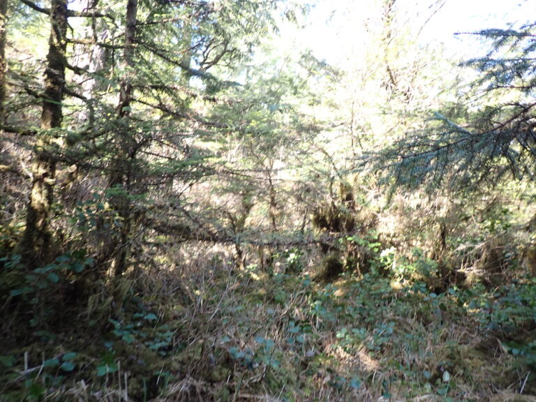 
								9101247 - L10B2 (5)								