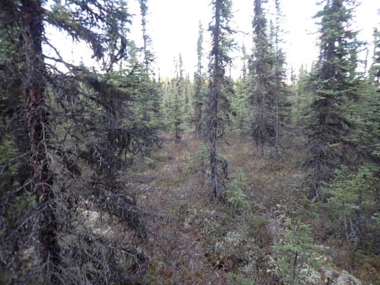 
								9200852 - SM-0618_2 - Lot 4								