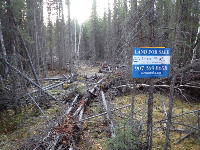 
								9200853 - SM-0618_1 - Lot 5								