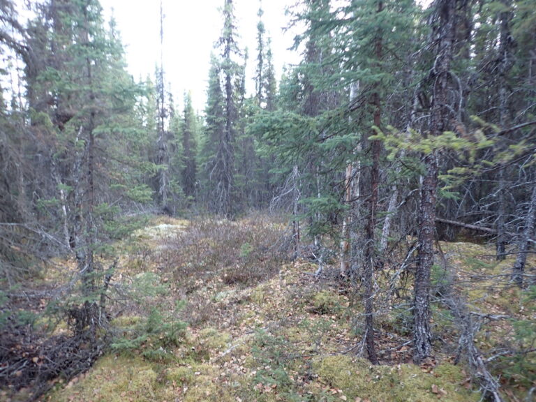 
								9200853 - SM-0618_3 - Lot 5								