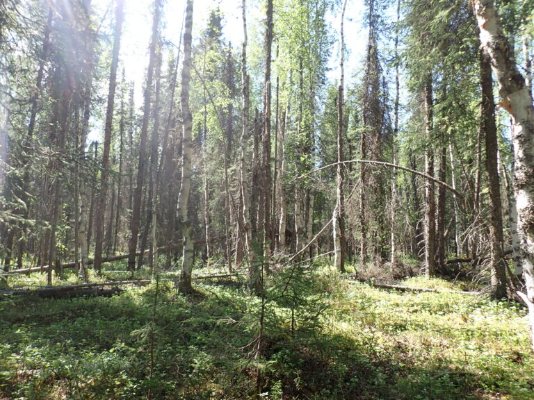 
								9201010 - SM-2466_6								
