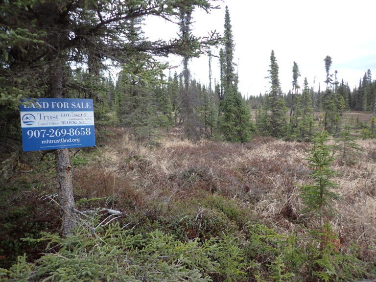 
								9201051 - S20055_1								