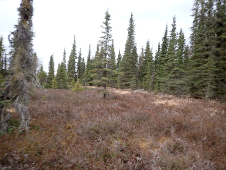 
								9201052 - S20055_6								
