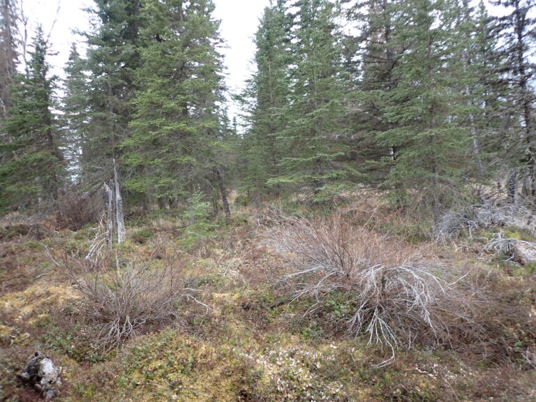 
								9201061 - S20054_2								