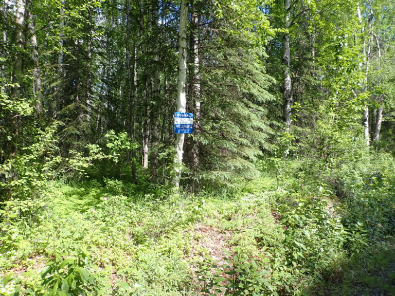 
								9201070 - SM-2467_1								