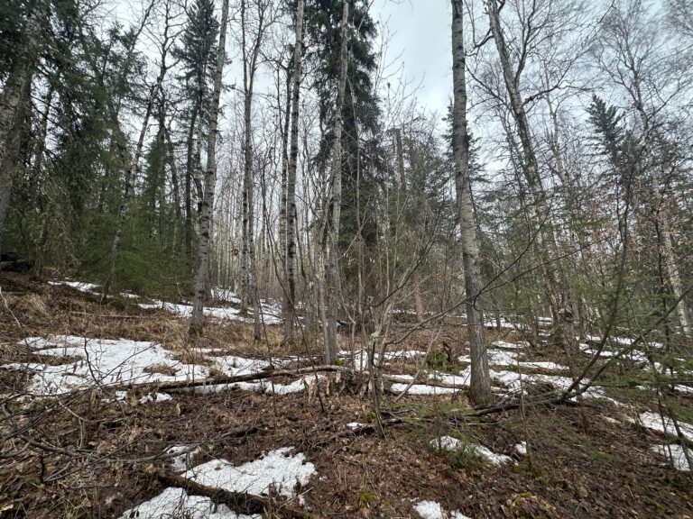 
								9400865_Aspenwood L3,B7_2								
