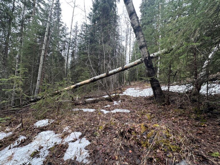 
								9400893_Aspenwood L1,B8_2								