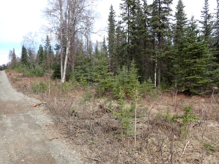 
								9200883 - SM-1164_6 - Lot 1 Block 1 (2)								
