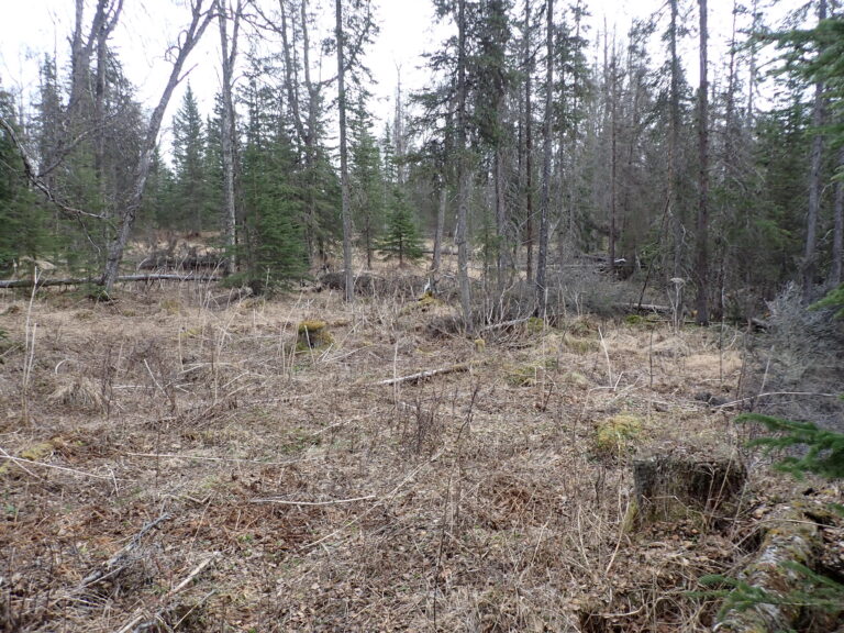 
								9200883 - SM-1164_6 - Lot 1 Block 1 (4)								