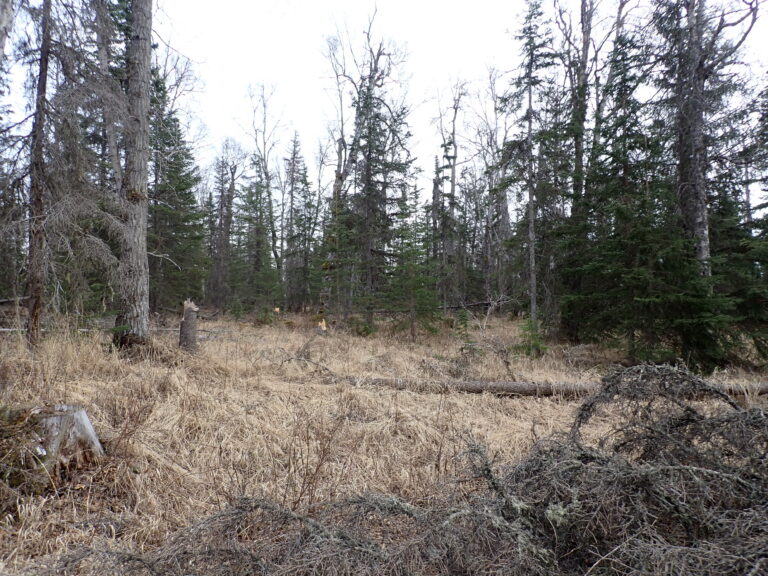 
								9200883 - SM-1164_6 - Lot 1 Block 1 (5)								