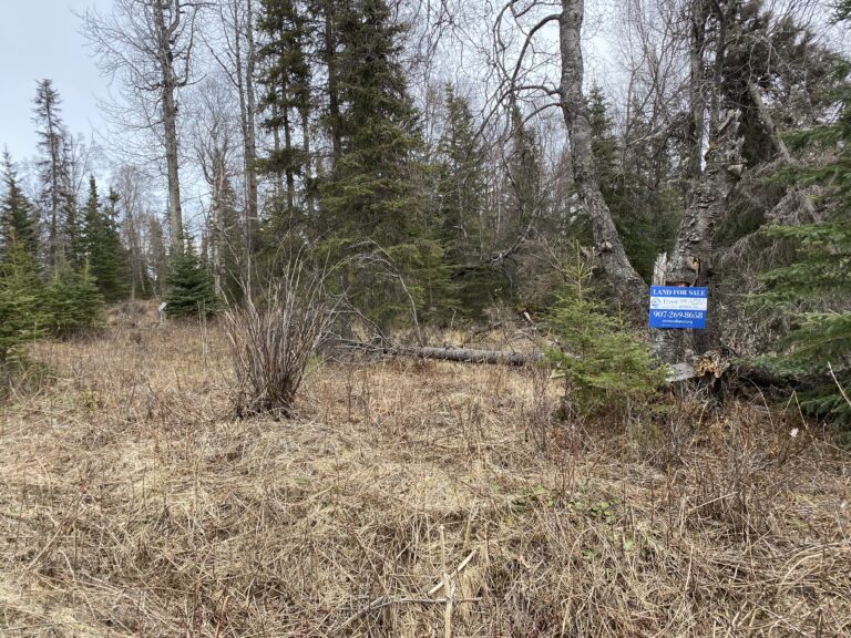 
								9201078 - SM-1164_6 - Lot 2 Block 1 (1)								