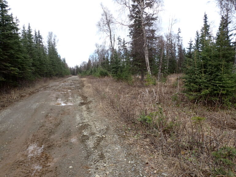 
								9201078 - SM-1164_6 - Lot 2 Block 1 (2)								