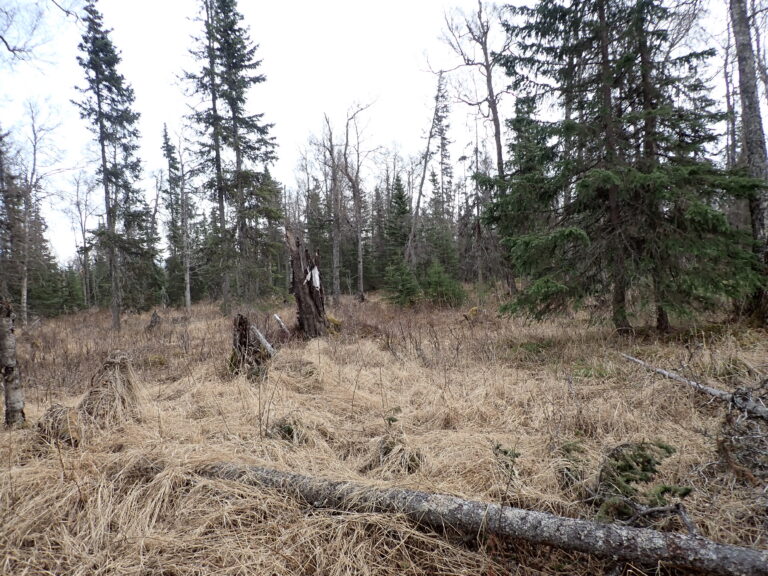 
								9201078 - SM-1164_6 - Lot 2 Block 1 (3)								