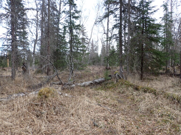 
								9201078 - SM-1164_6 - Lot 2 Block 1 (4)								