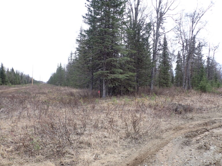
								9201078 - SM-1164_6 - Lot 2 Block 1 (5)								